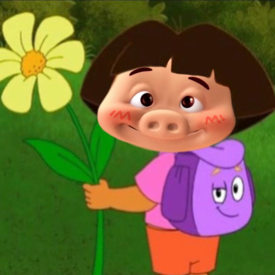 离我远点我怕猪