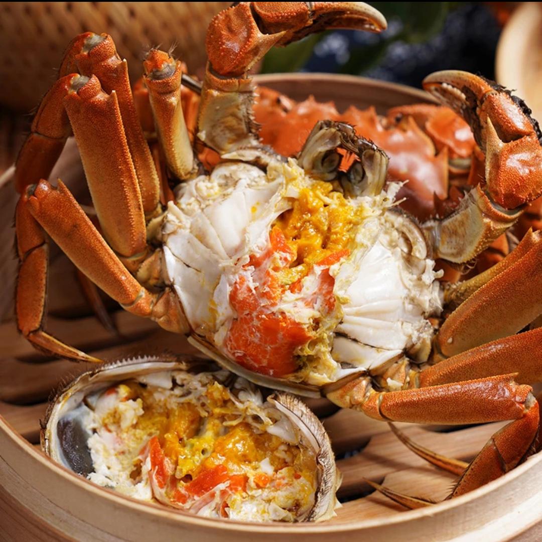 爷爷家的蟹塘的头像