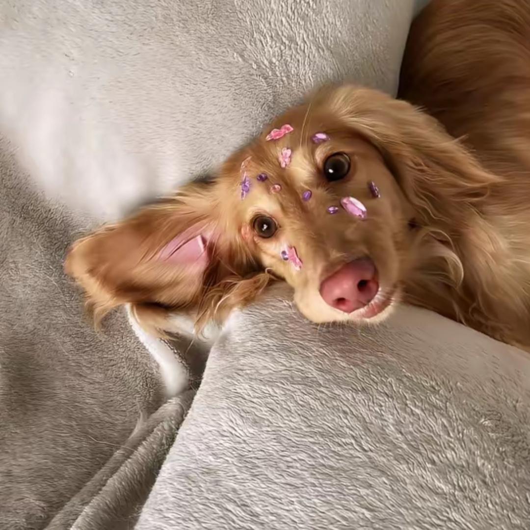 zzzzyybbb