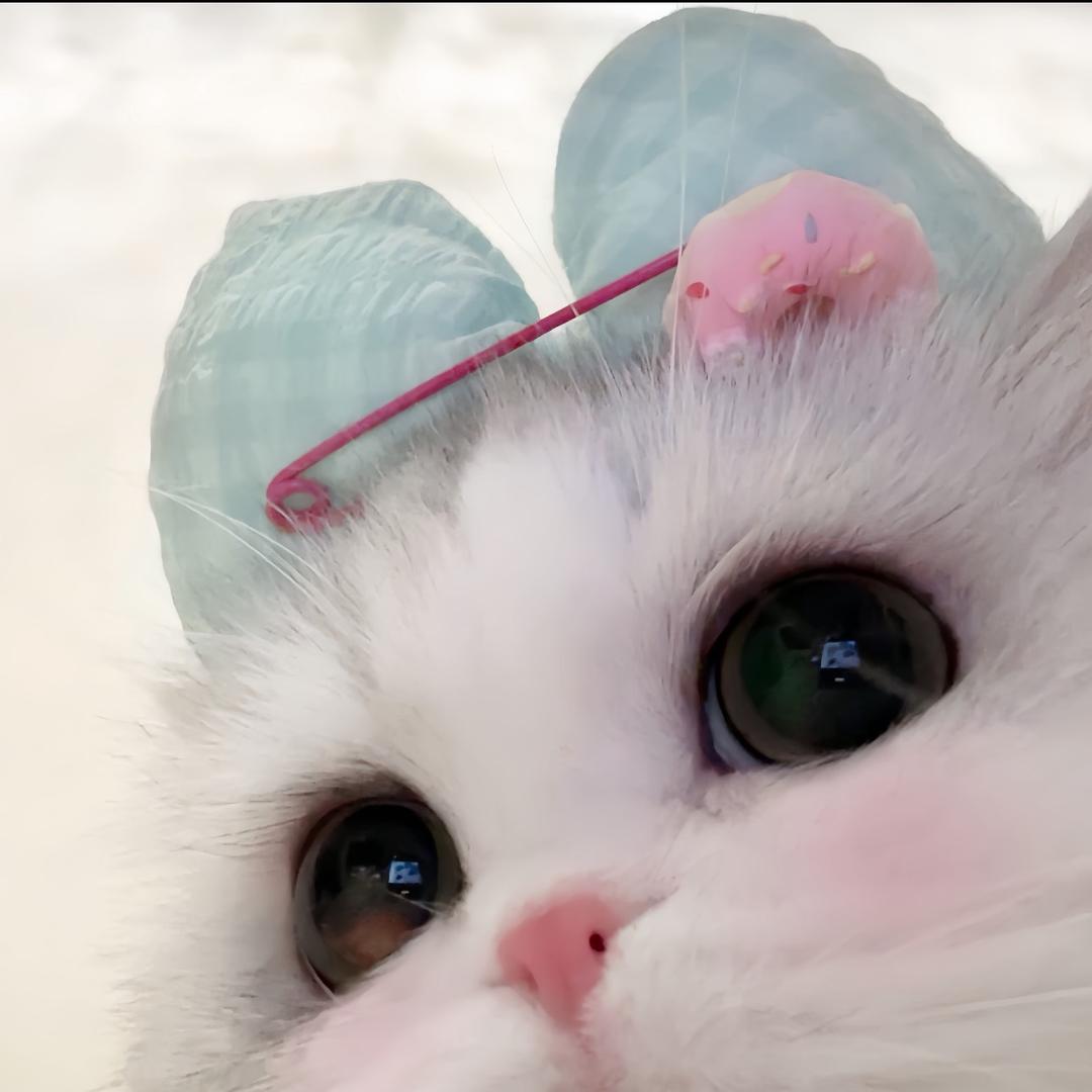 丫丫🎀