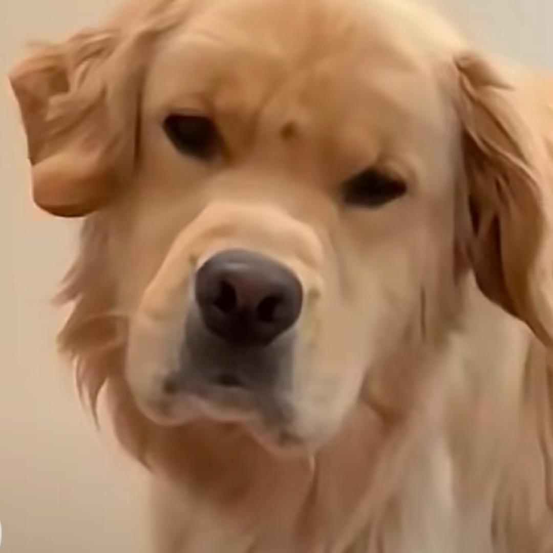 下午好嘛
