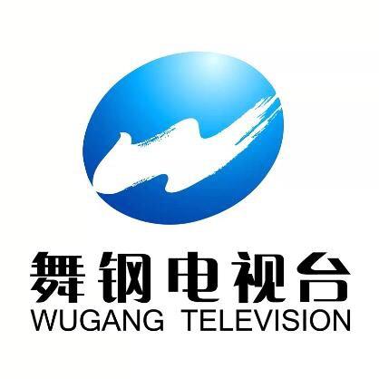 舞钢发布