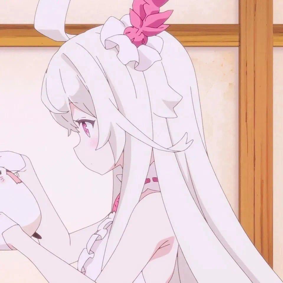 summer的姐姐🐰