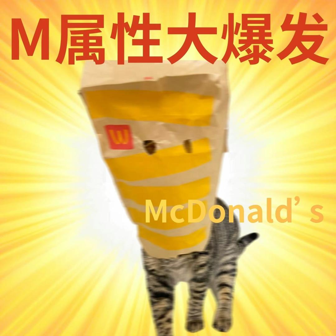 一个年迈的老父亲