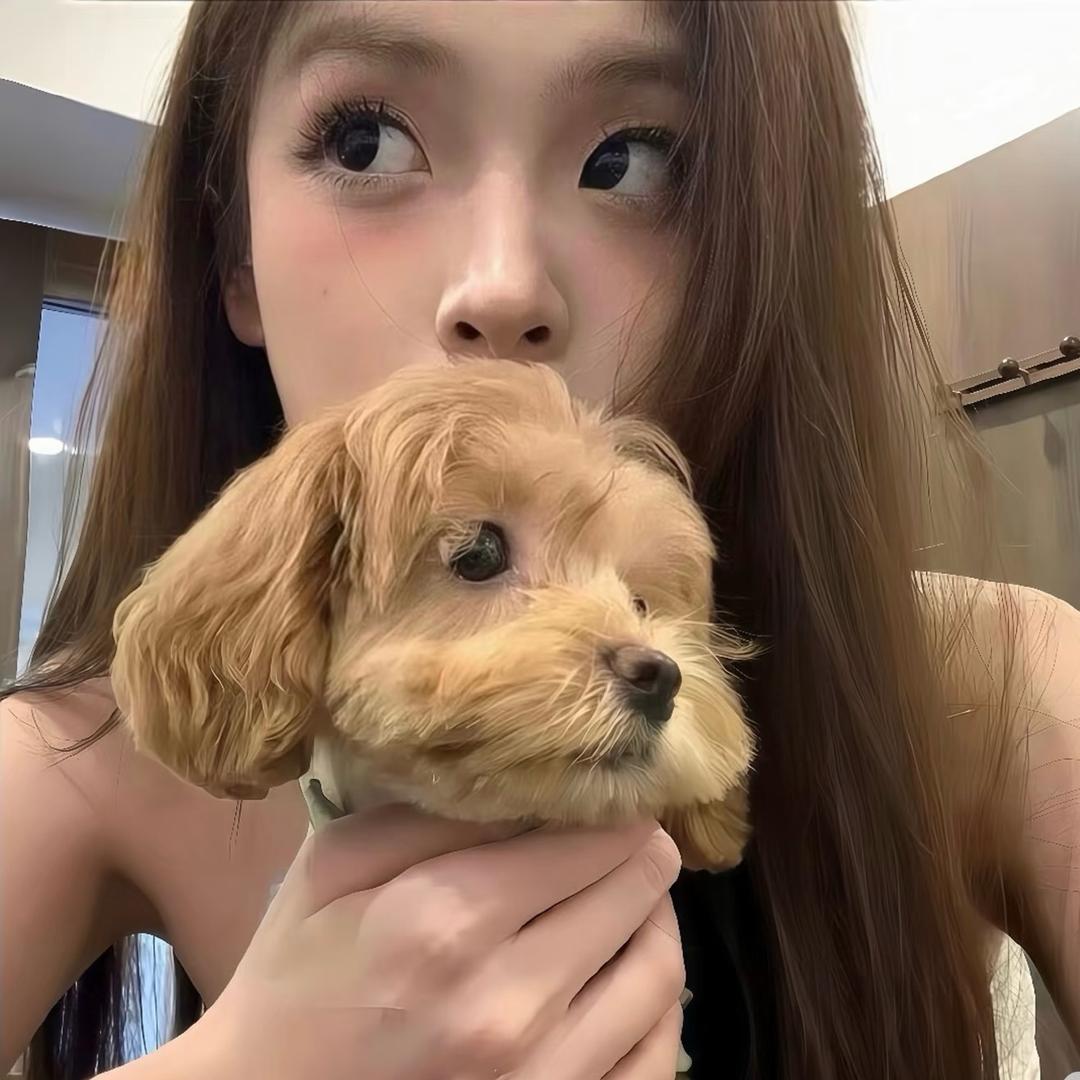 小羊emo.