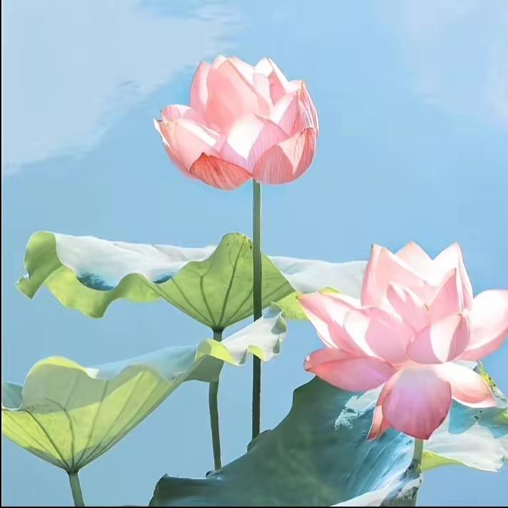 启迪智慧百货店