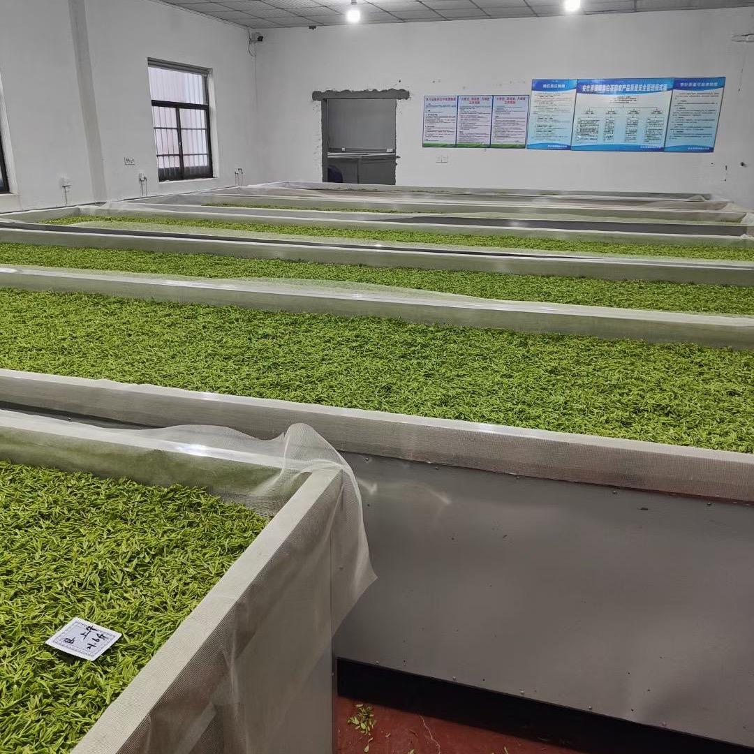 润圣罗茶叶旗舰店
