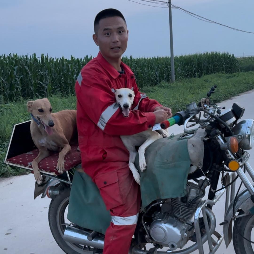 狗教练