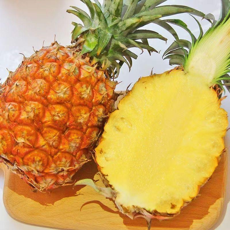清羽果舍