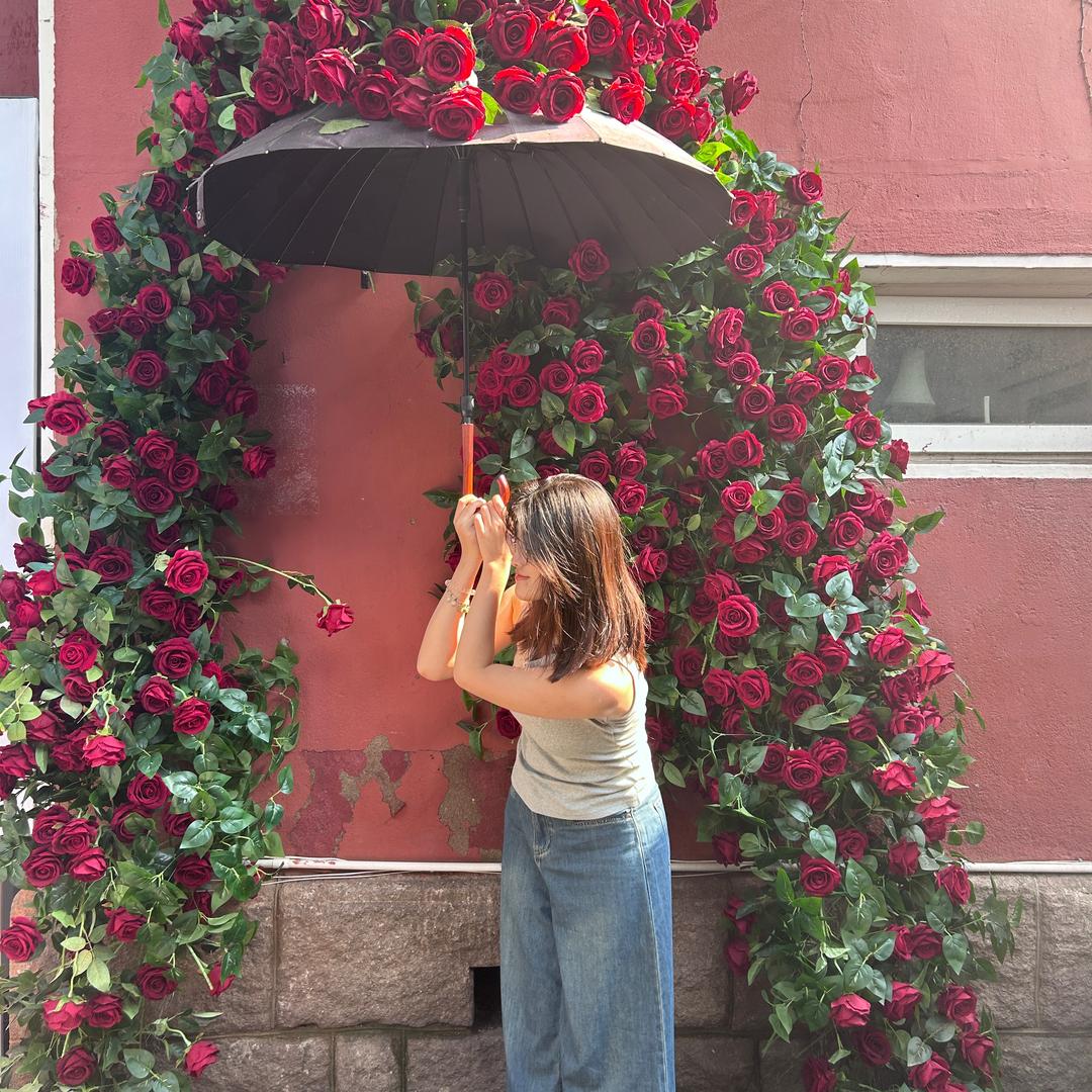 在努力的小朱姐