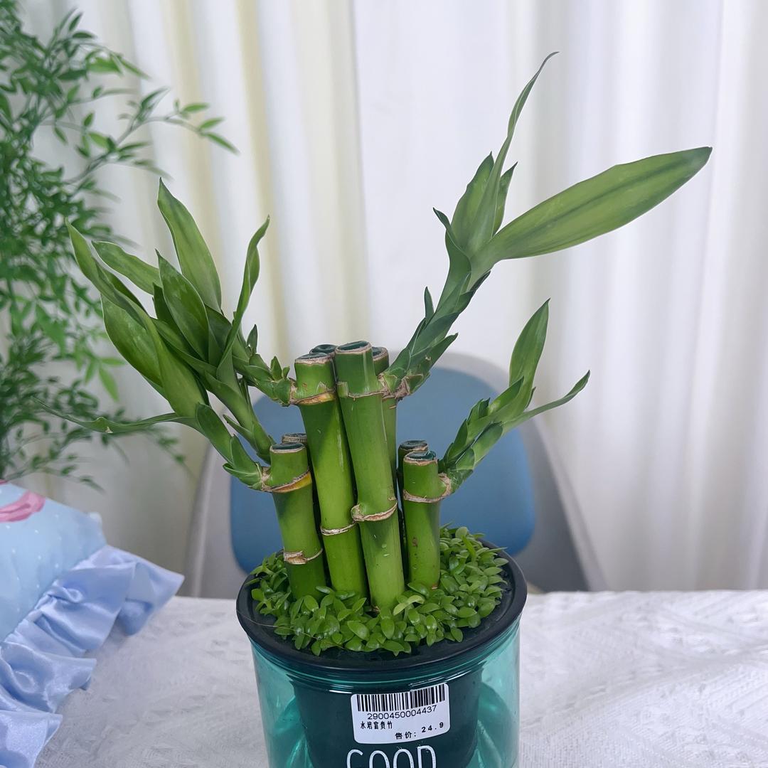妈妈的贴心小宝贝