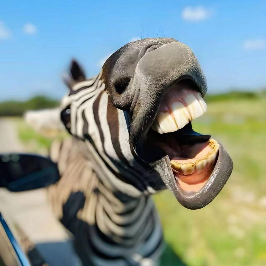 @(o^^o)