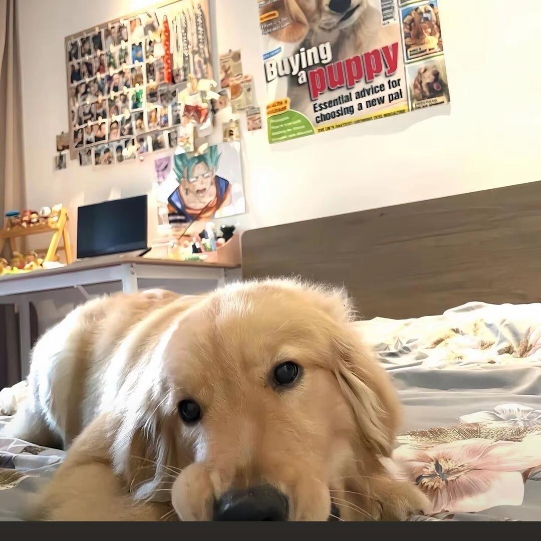 皱了皱眉