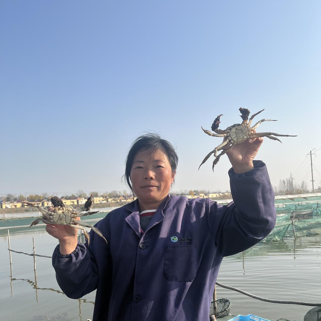 蟹满仓鲜货店