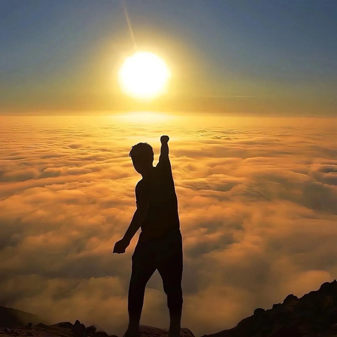 湖州易川服饰有限公司的头像