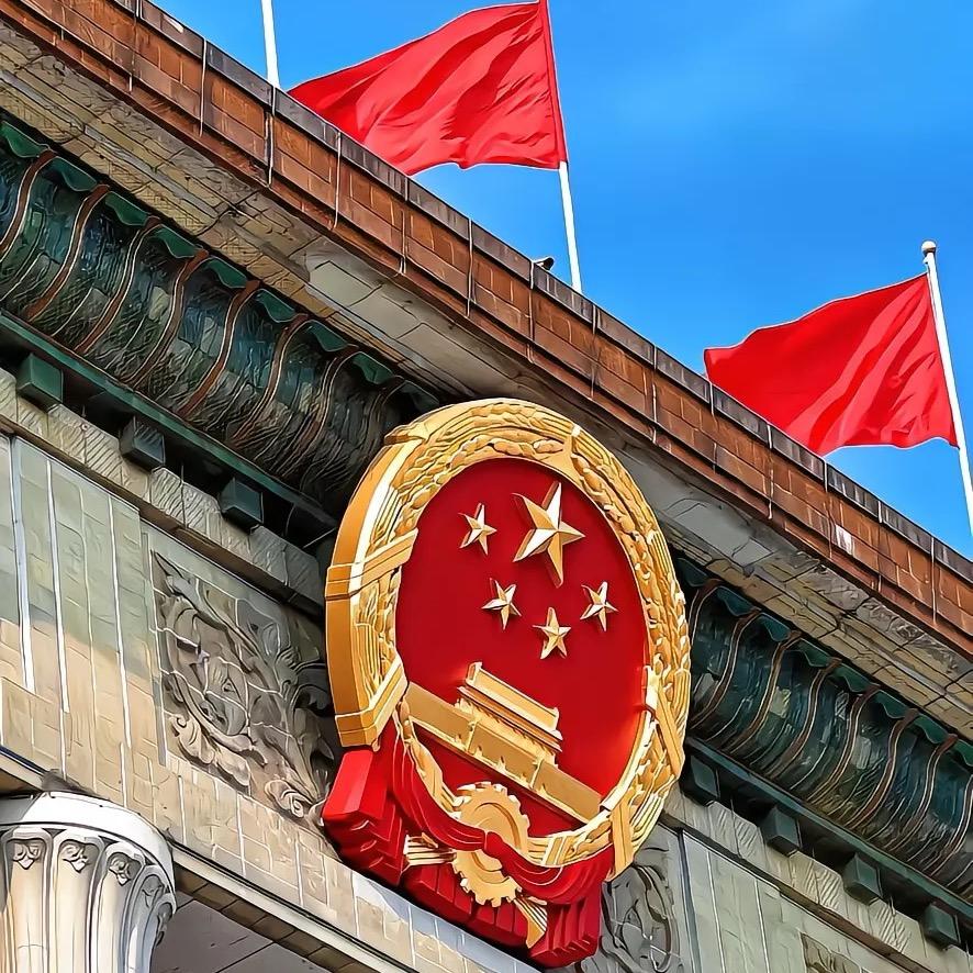 放羊娃📣
