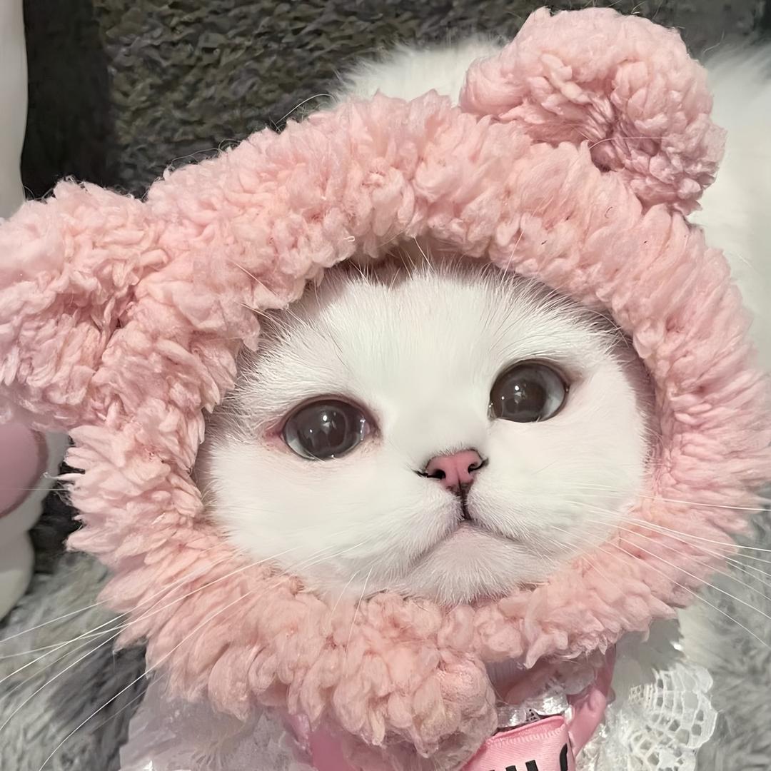 桃桃冻