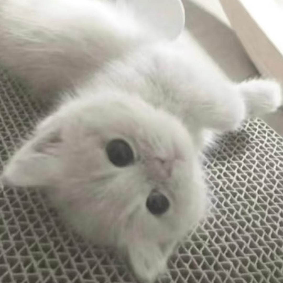 小微光