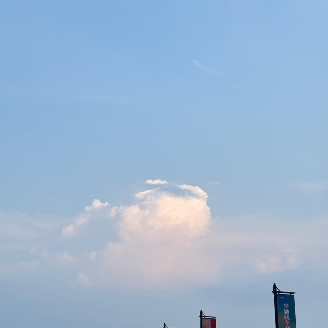 上海仟策供应链管理有限公司