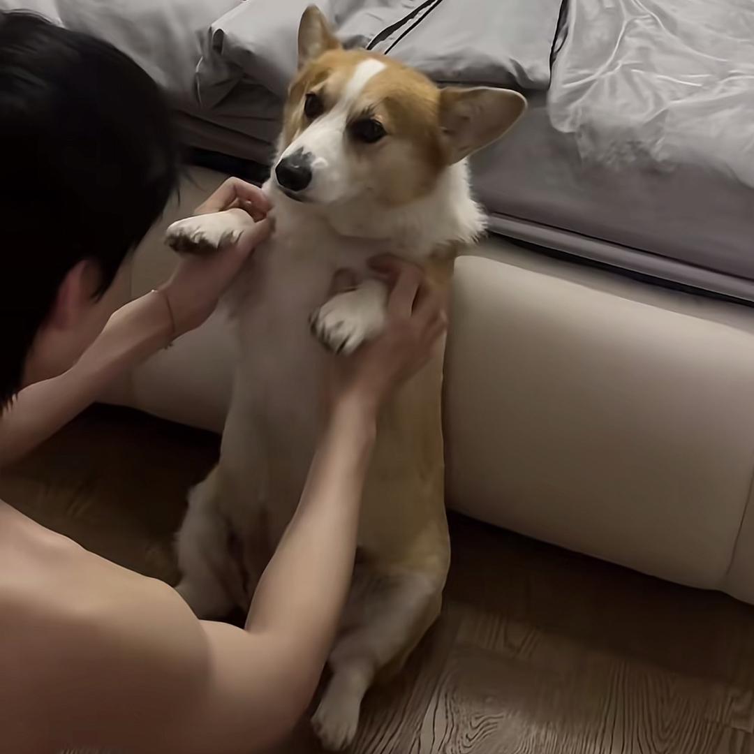 开心亊🍂🍂🍂🍂🍂🍂🍂