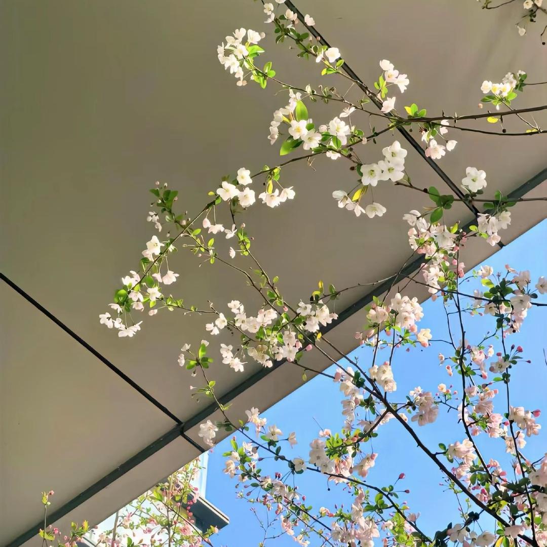 项城装修家具平姐