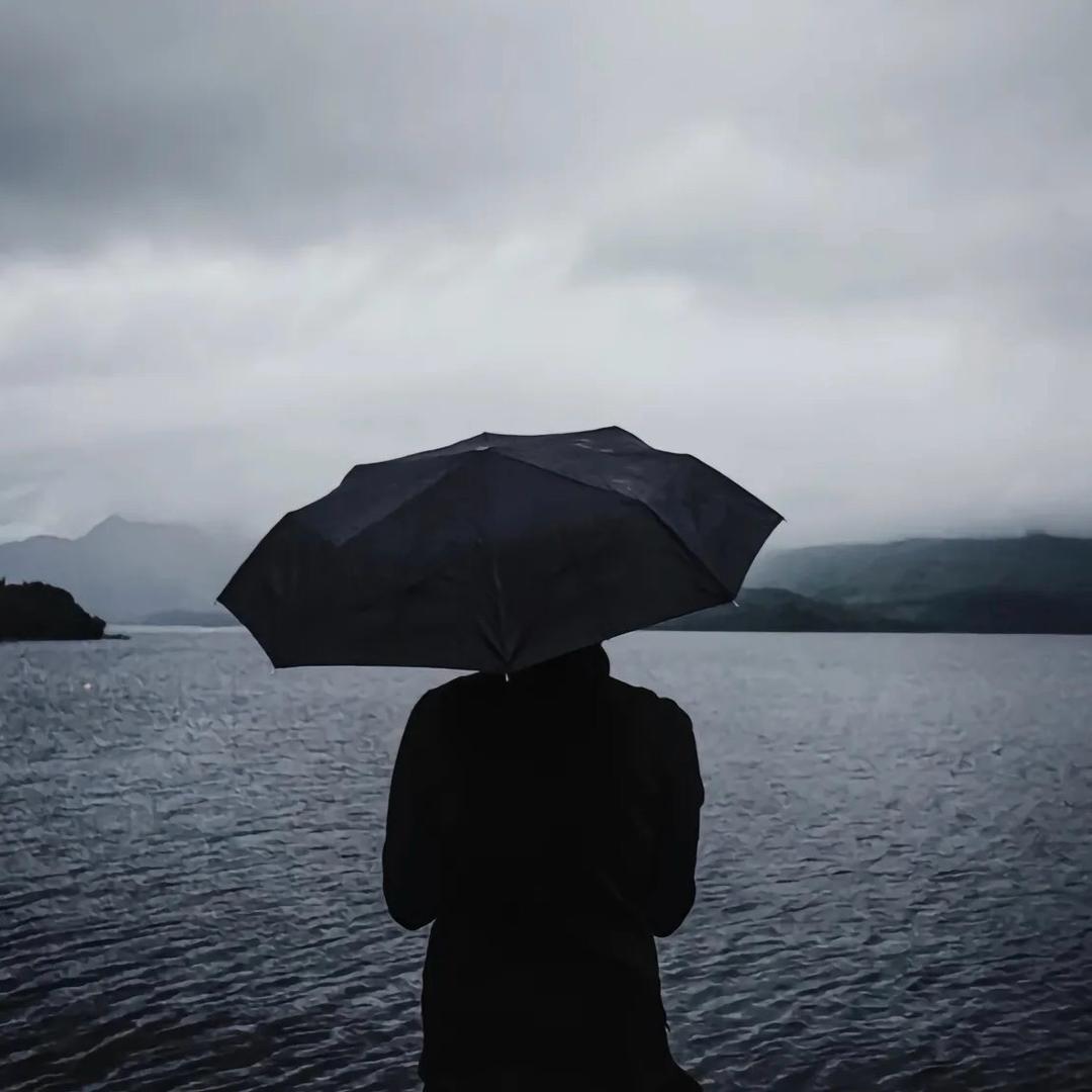 复杂世界的尽头