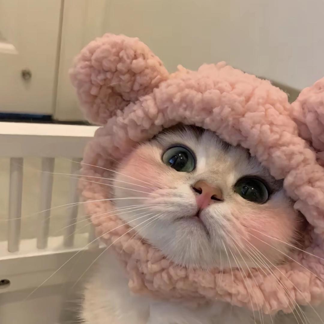 ⸜❤︎⸝  颜颜ᯓ