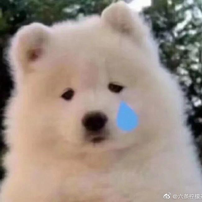 🌈曼小喵🍃头像