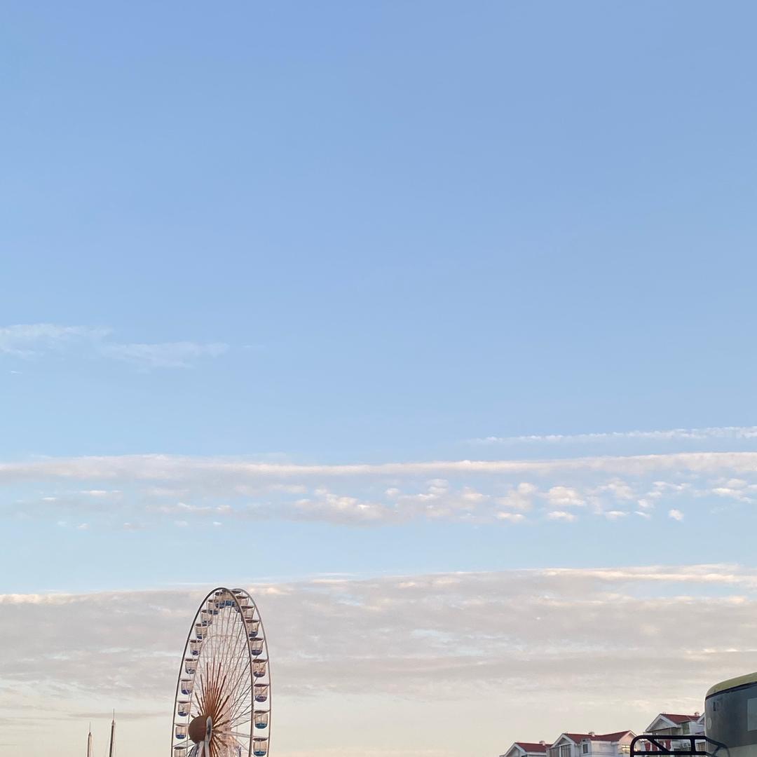 @西红没有柿