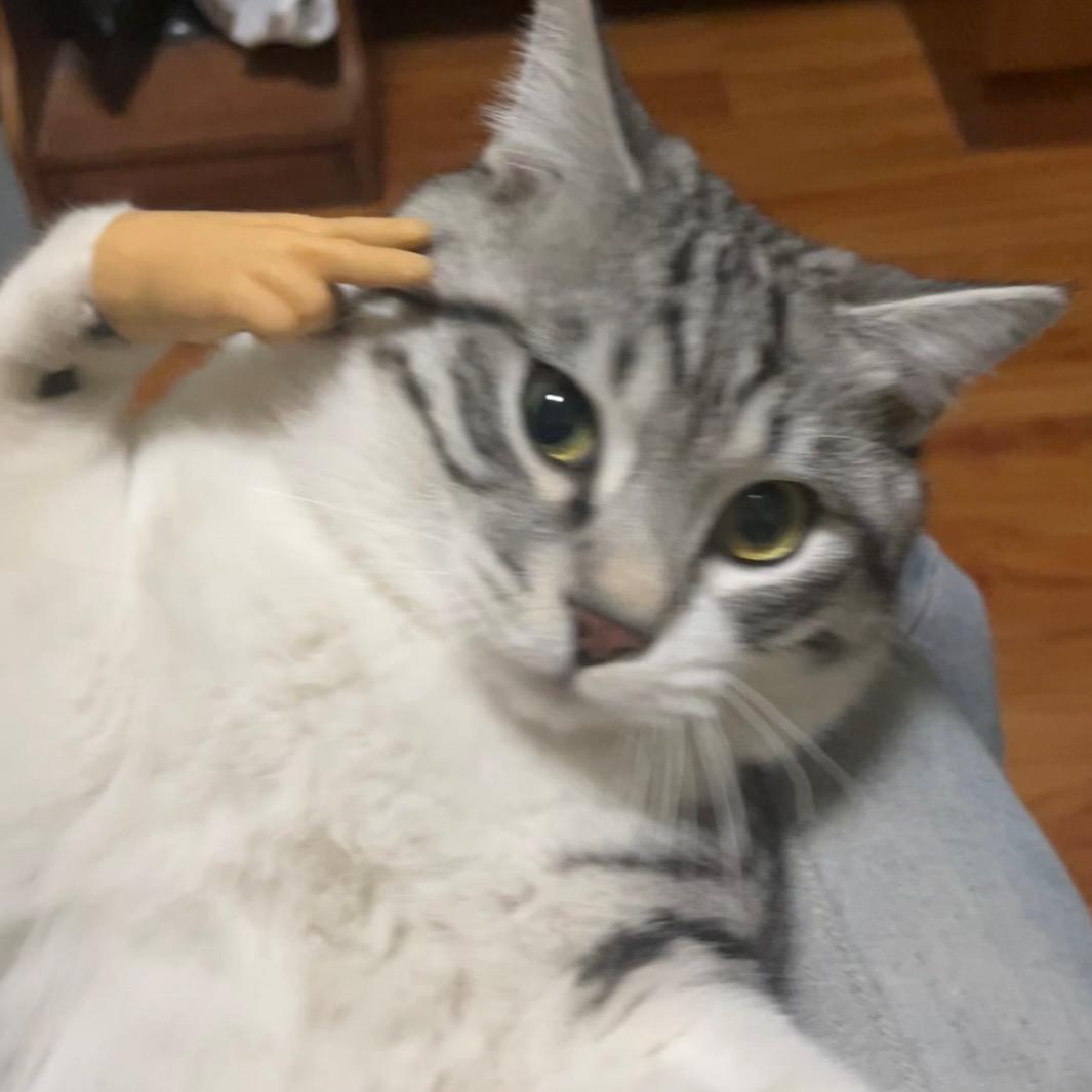 野原兴之助