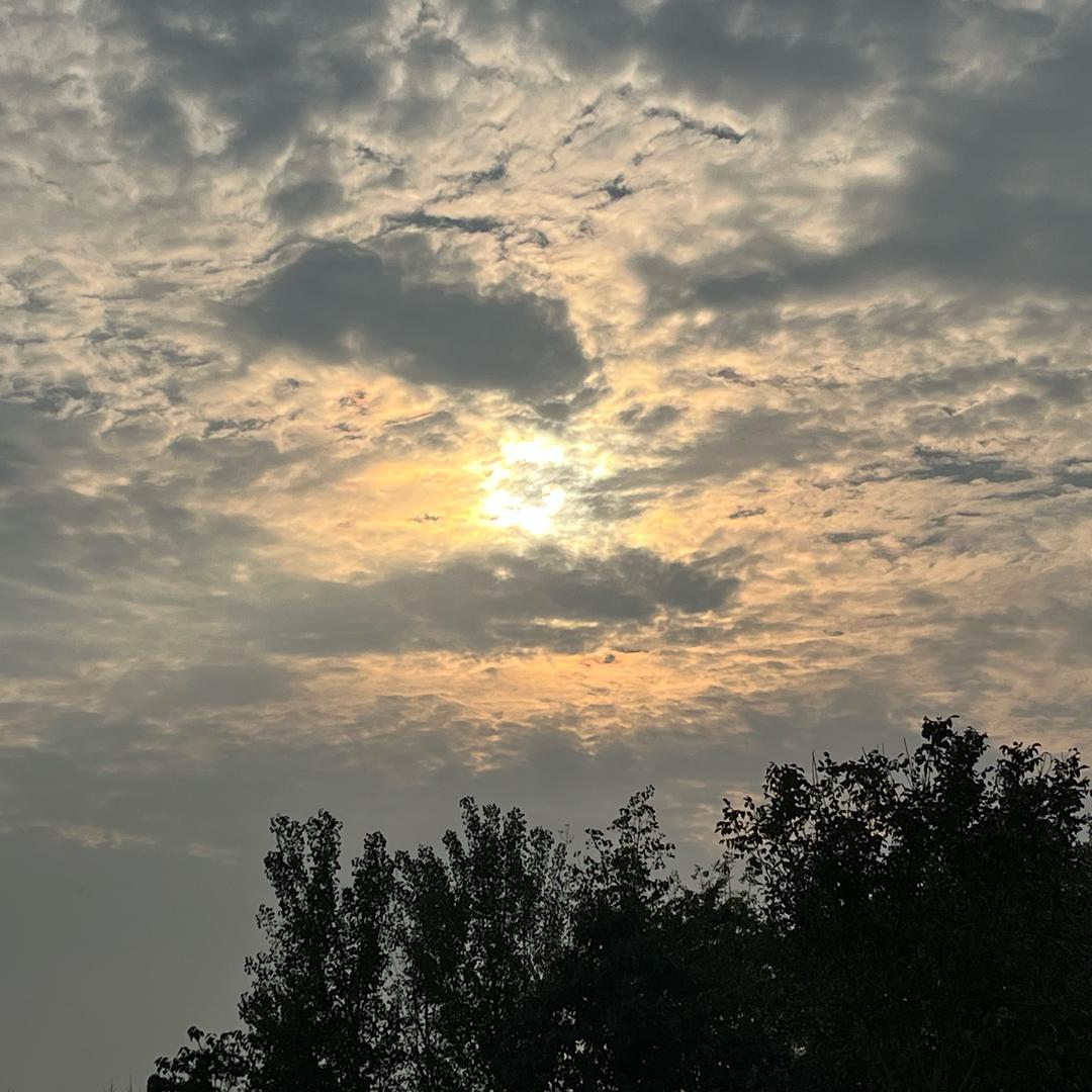 江丽丽严选