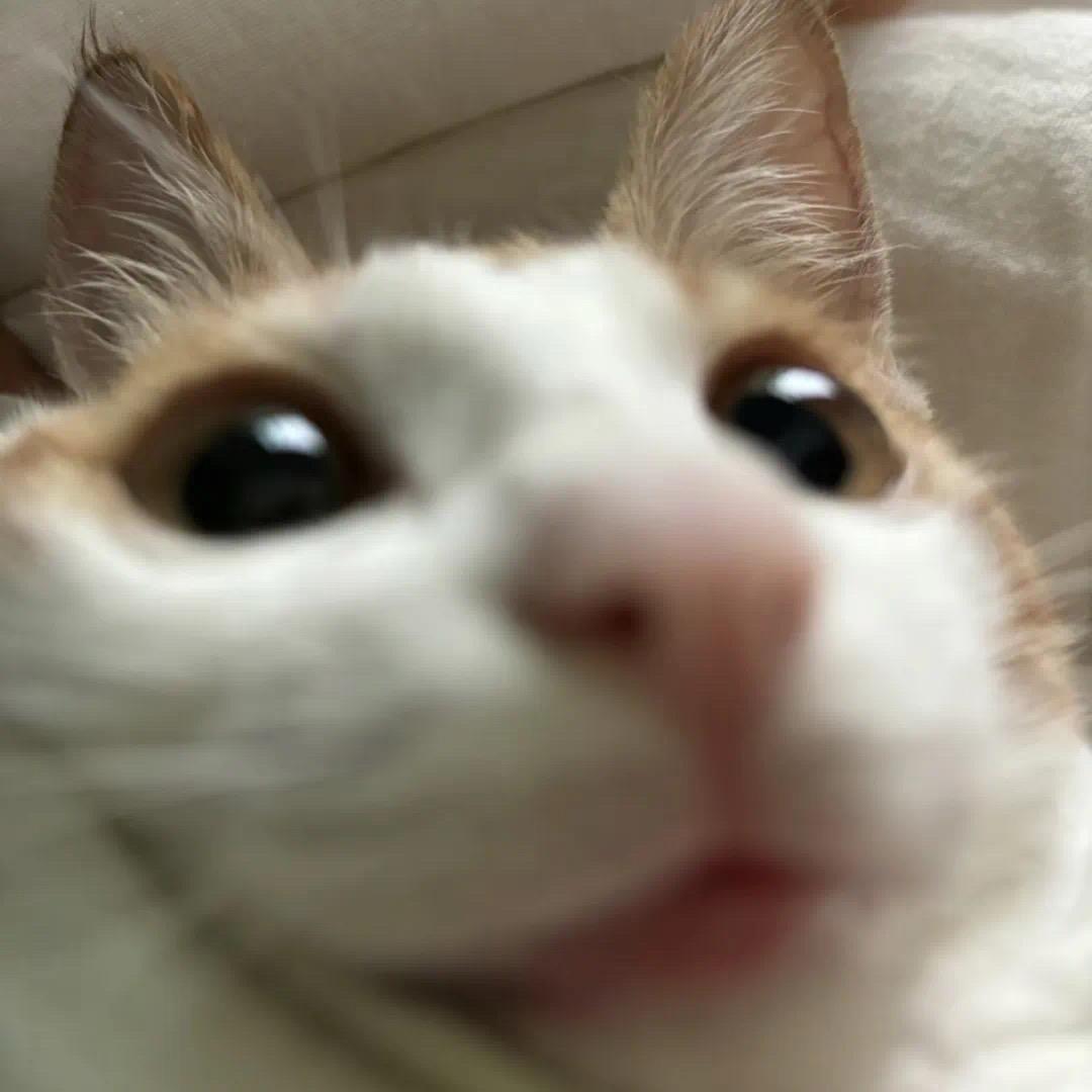 10.