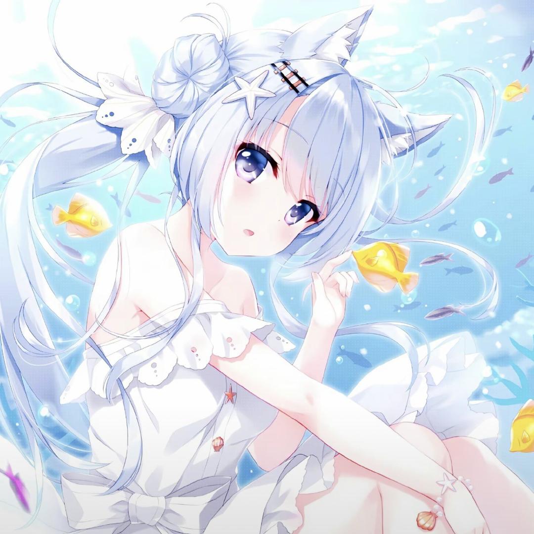 胖胖虎