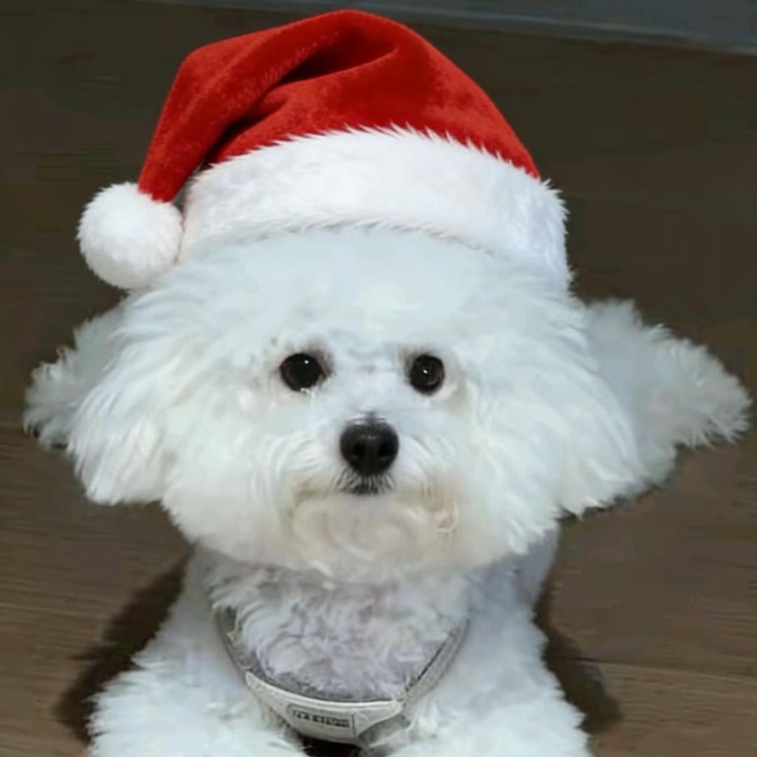 八方来财家财万贯万事如意顺风顺水