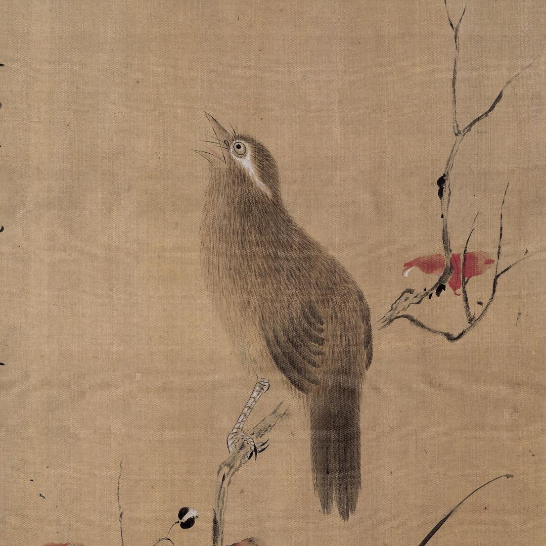 画画的牛魔王（招生）