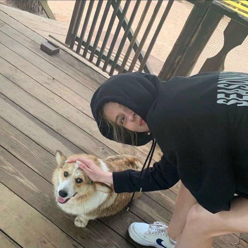 一个哒不刘 ᅟᅠ