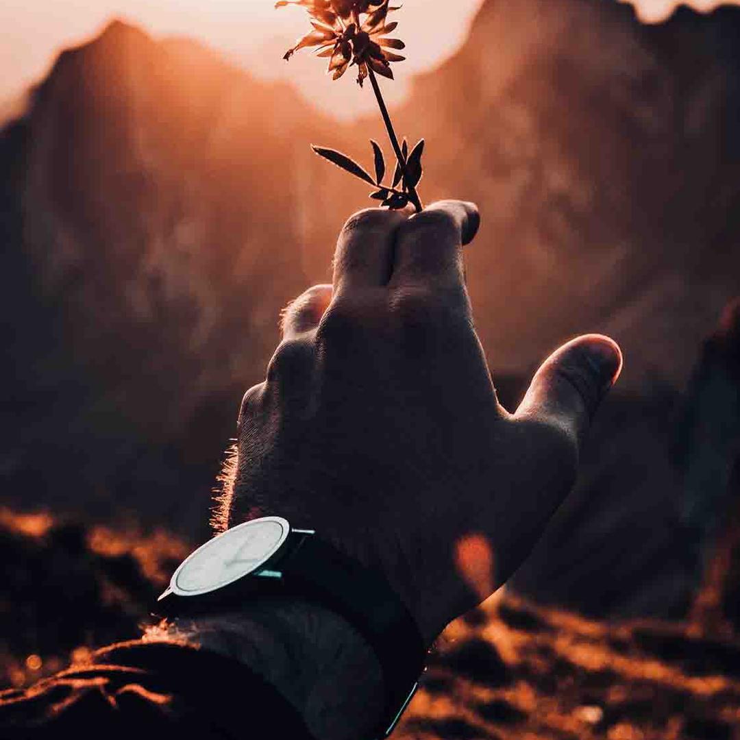 广州机械档口阿强