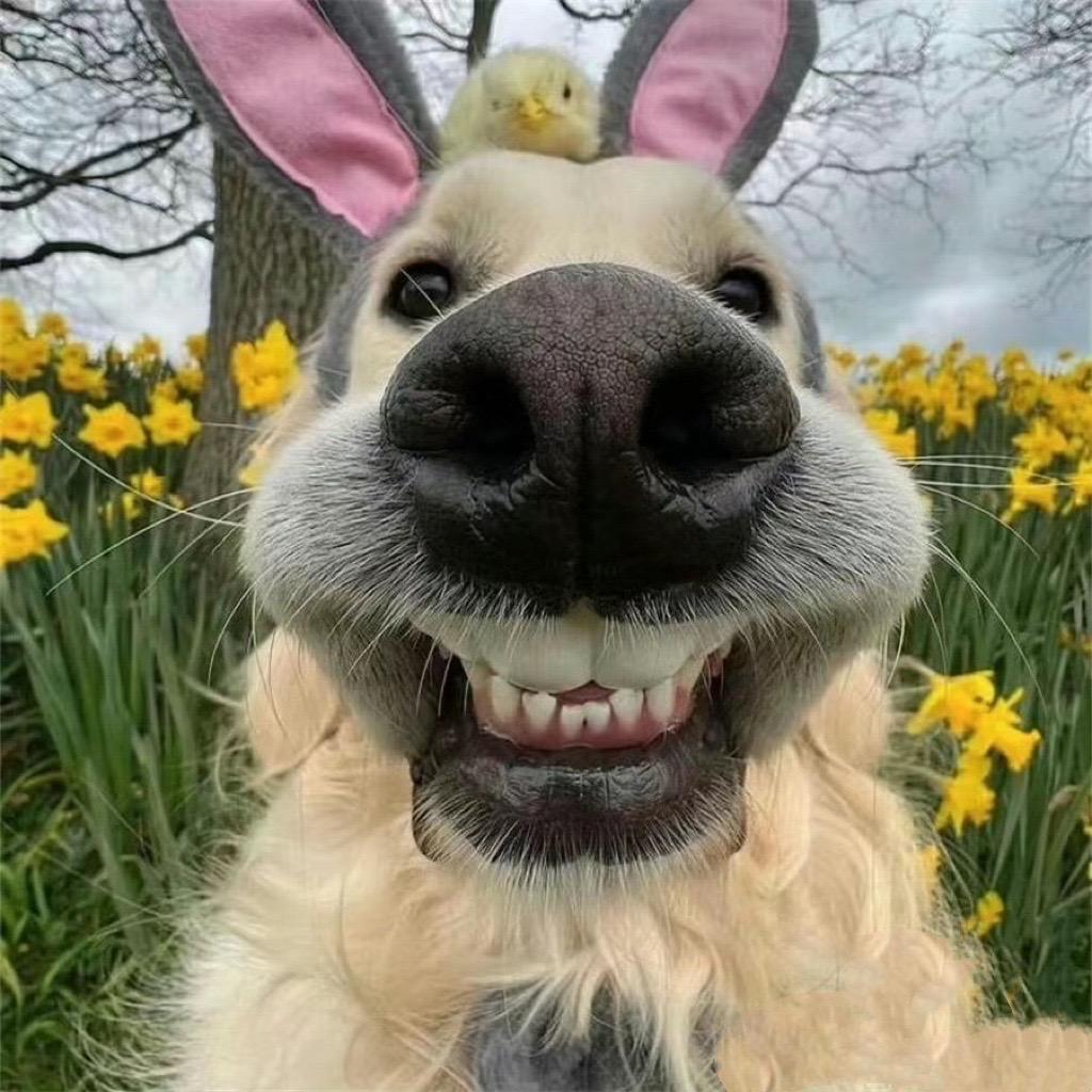 17.