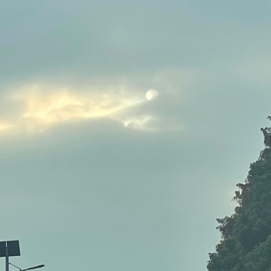鑫鸿企业管理咨询有限公司