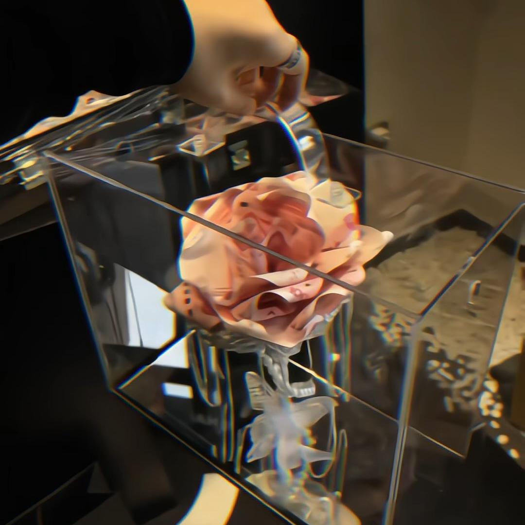 茹郗管理五号
