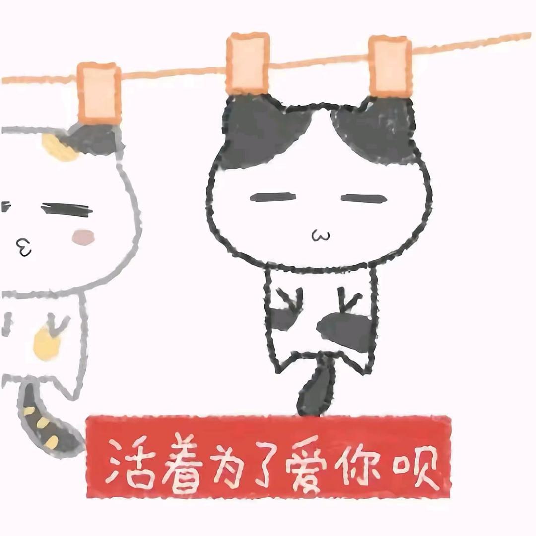 Double灿