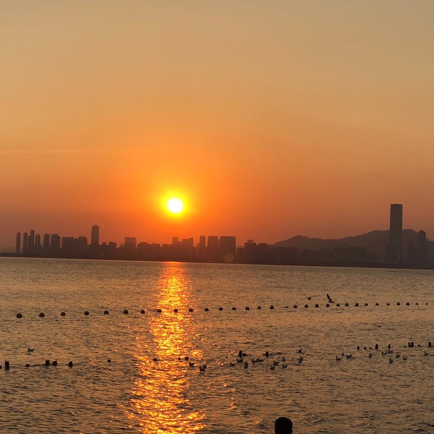 玲珑心（关注必回）