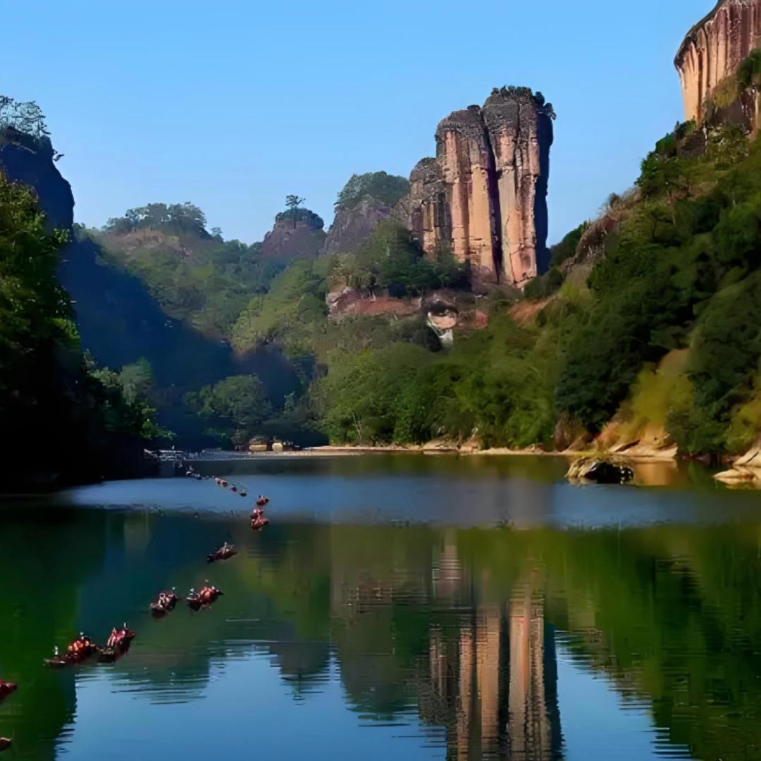 大红袍岩茶批发茶业