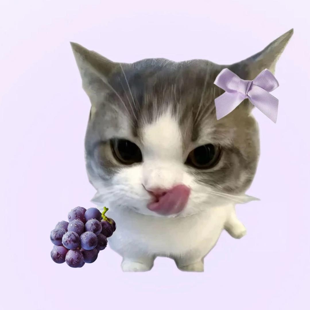 14yyyyy-