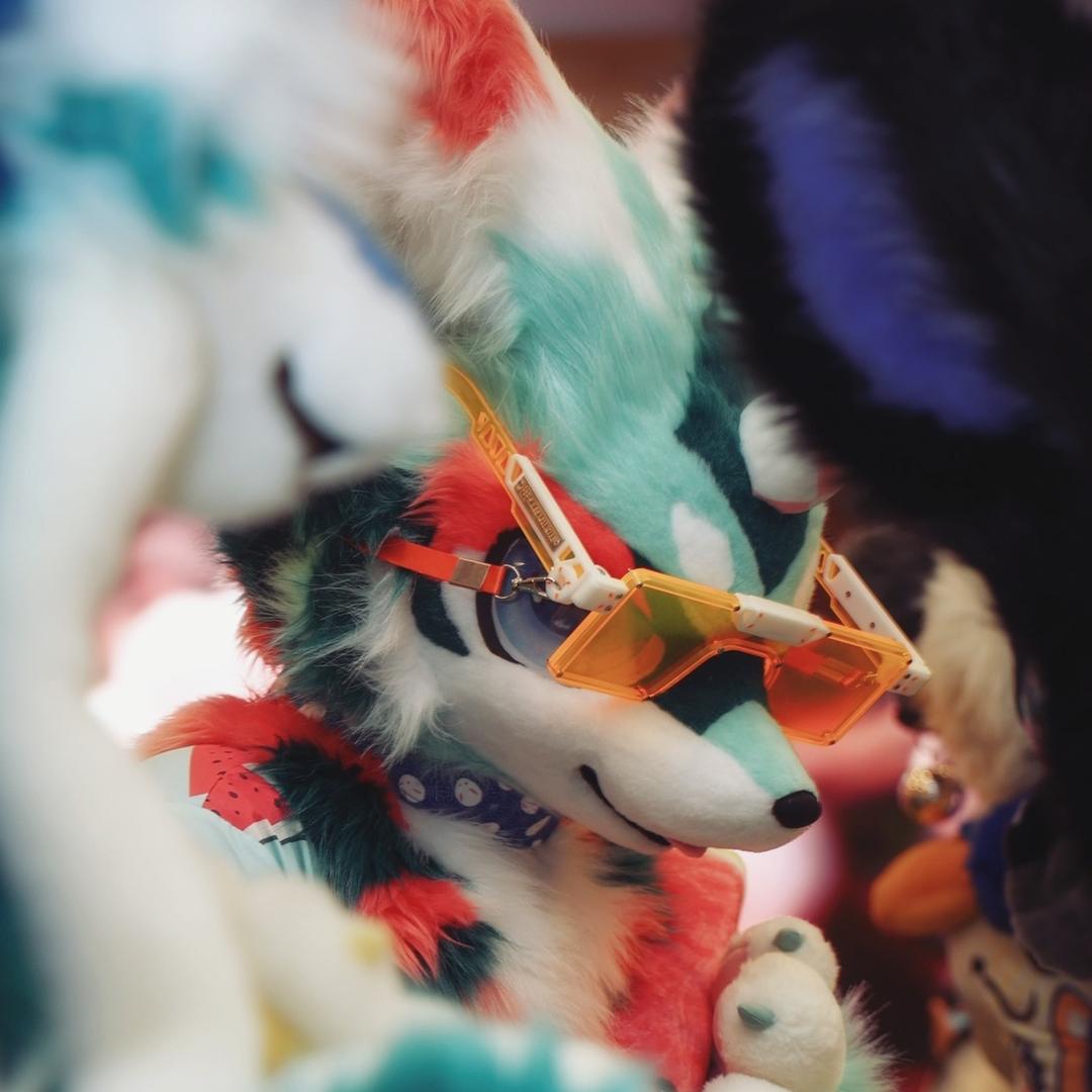 莱一份西瓜鱼FURRY