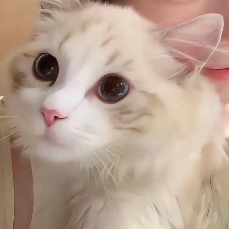 苏南