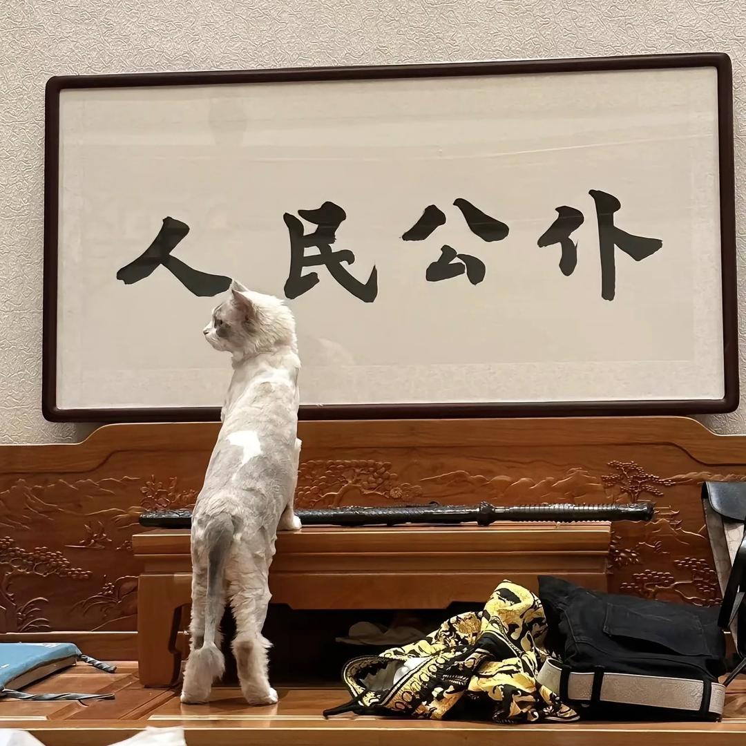 深圳谢不肉（旅游 美妆版）