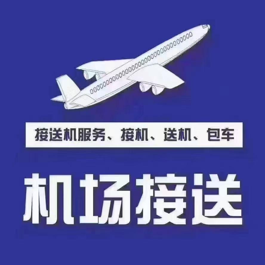 胖子专业接送机
