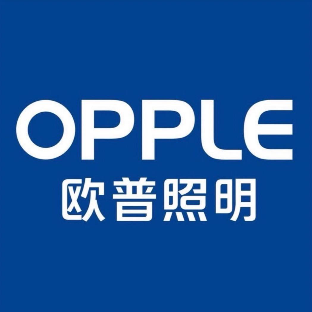 欧普照明西北区域