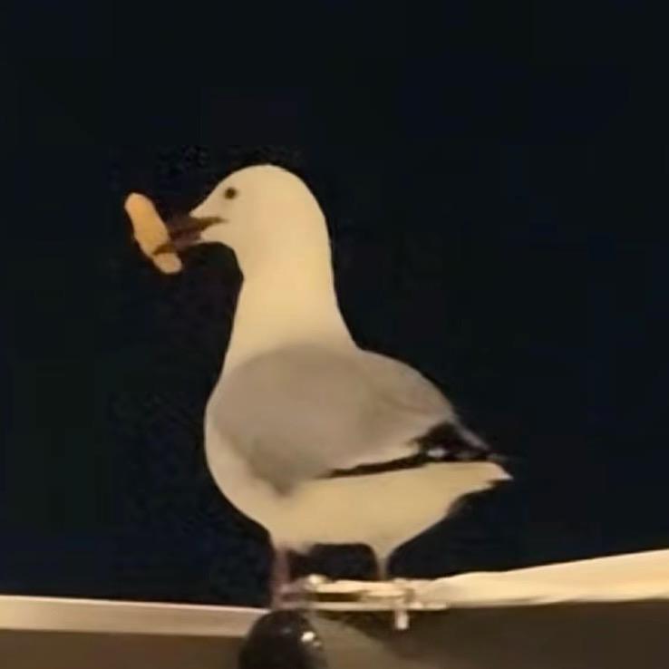 玉楼